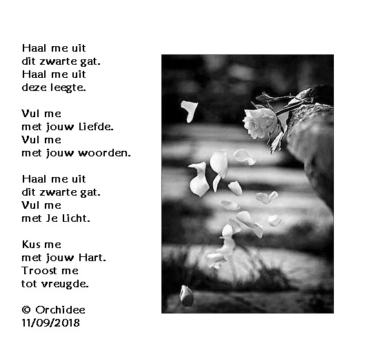 Goede Troost me – Orchideeschrijft UT-75